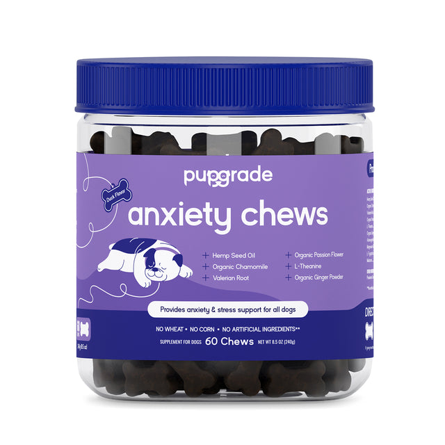 Image of PupGrade Anxiety Chews 60 count jar on a white background.