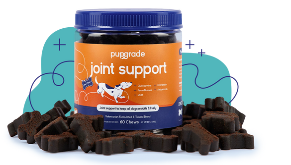 Joint support jar with treats displayed and a blue background.