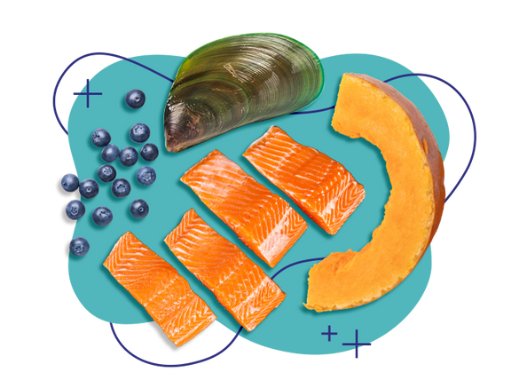 Image of blueberries, a clam, salmon, and pumpkin with a blue background.